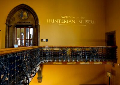 Hunterian Museum at Glasgow University