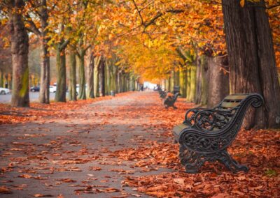 London Parks in Autumn. Used to help illustrate when is the best time to visit England.
