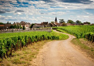 Rural Burgundy