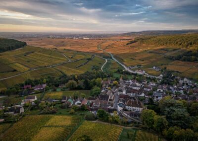 The vineyards of Pernand Vergelesses