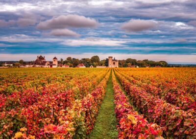 Vineyards in the autumn season Burgundy