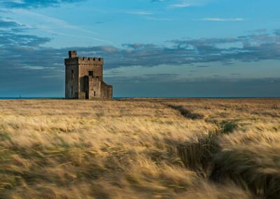 Watch Tower at Ardmore with a field of Barley - seen on ireland's ancient east itinerary route with Turas travel