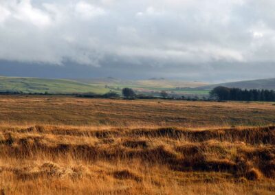 autumn landscape on dartmoor devon 1