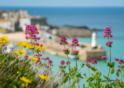 colorful flowers and st ives